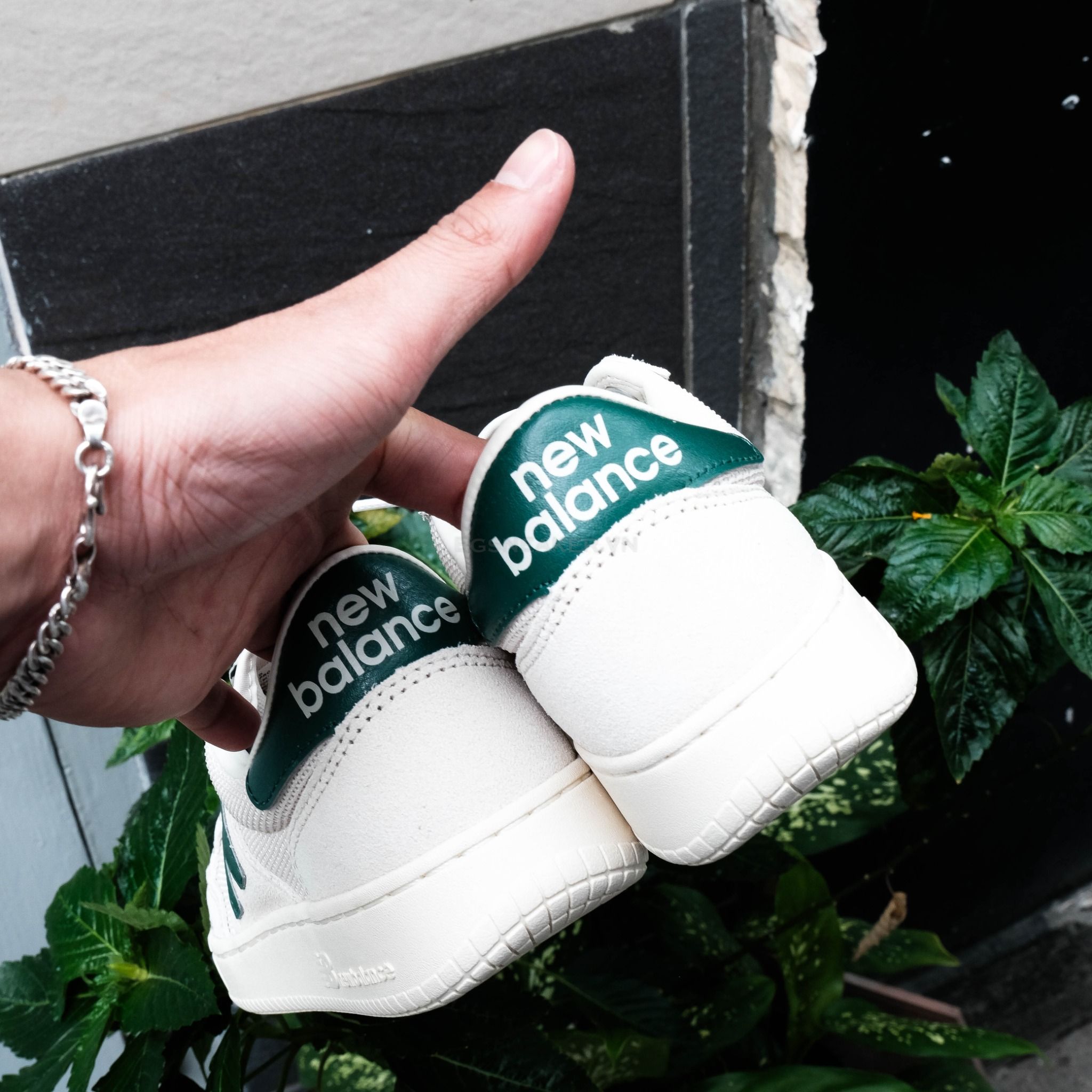  Giày New Balance W Pro Court Beige Green PROCTCCG 