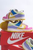  Nike Dunk Low Multi-Color FD9923-111 