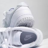  Nike Dunk Low Retro ‘White Pure Platinum’ | DV0831-101 | 