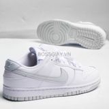  Nike Dunk Low Retro ‘White Pure Platinum’ | DV0831-101 | 