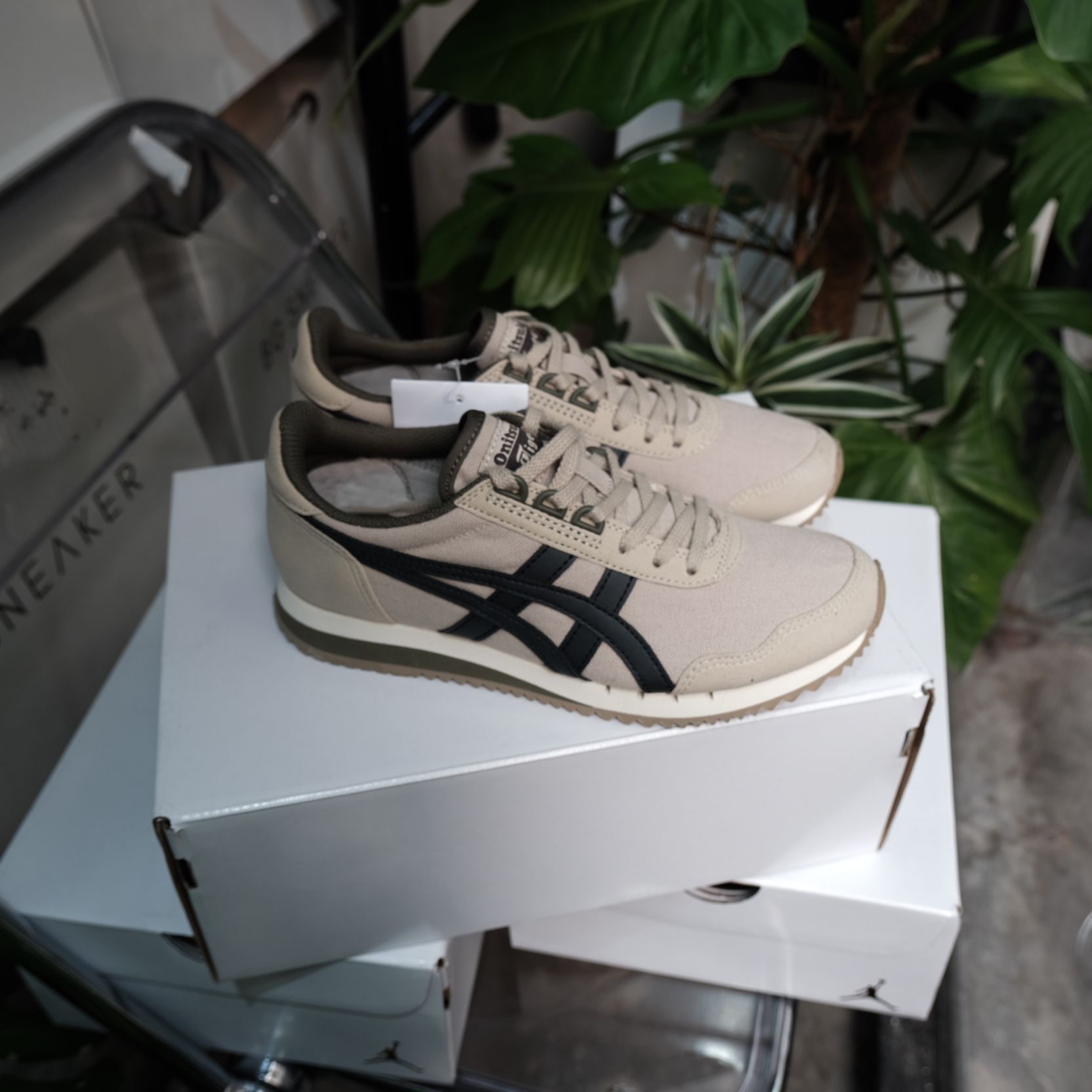  Giày Onitsuka Tiger Dualio Cream Grey Green  1183A856-201 