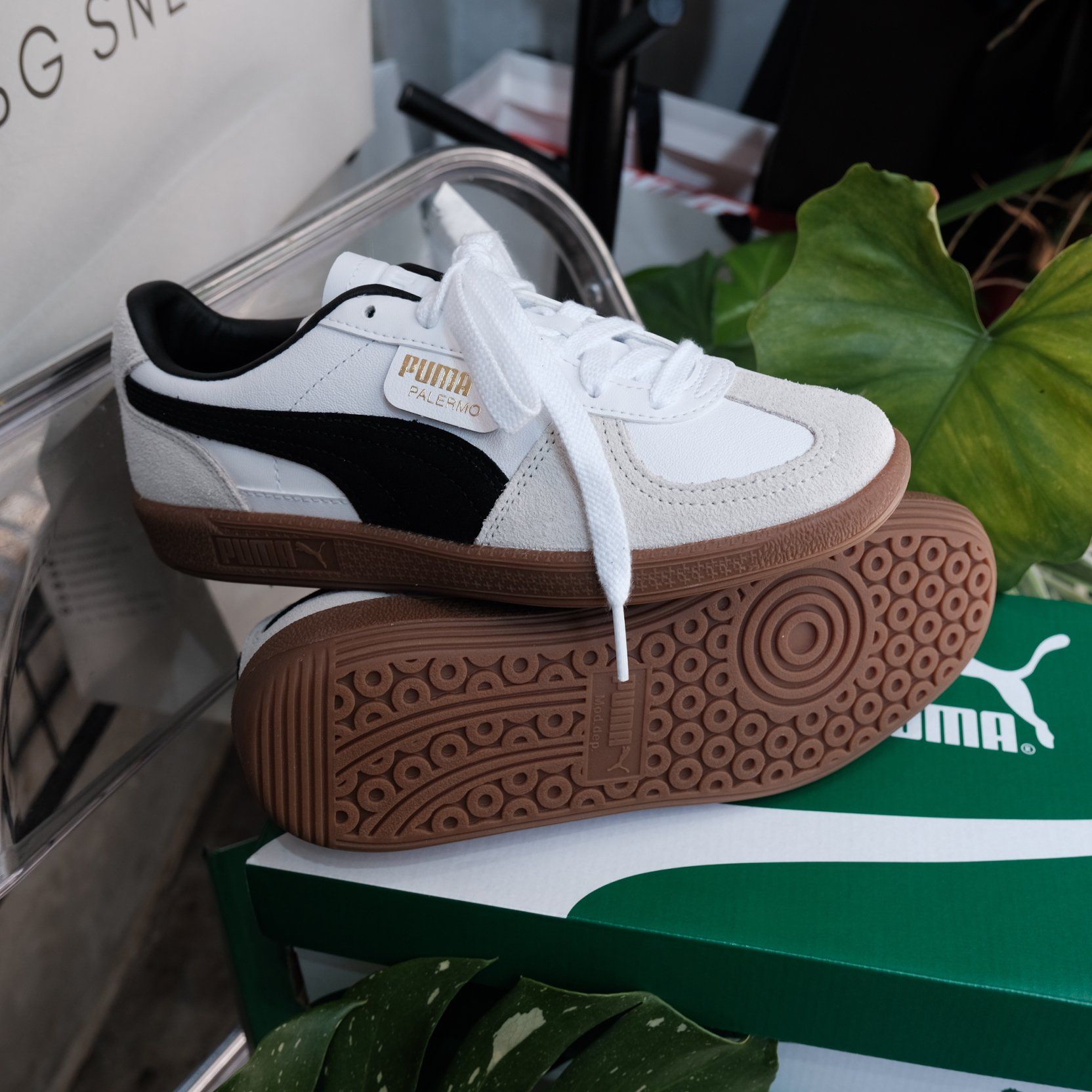  Giày Puma Palermo Leather White  Vapor Grey  397647-01 