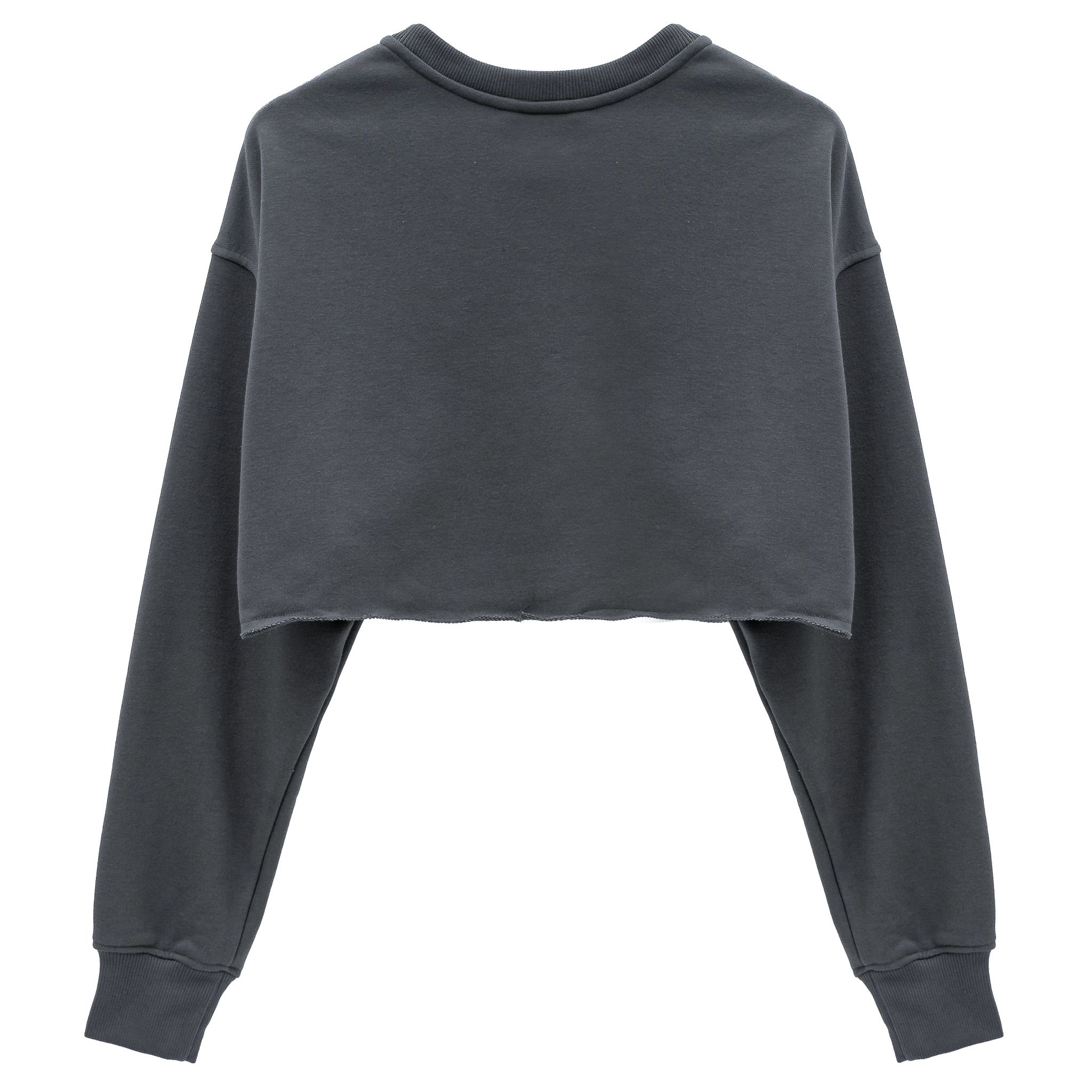  Áo Croptop Academy - Gray 