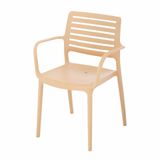  Ghế Nhựa DT Nhiều Loại Nhiều Màu 