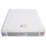  Nệm Lò Xo Túi 3 Viền 3M 