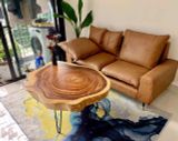  Bàn Sofa Me Tây Chung Cư 