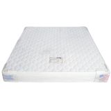  Nệm Lò Xo Liên Kết 2 Viền 3M 