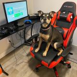  Ghế Gaming GT099 GTRACING 