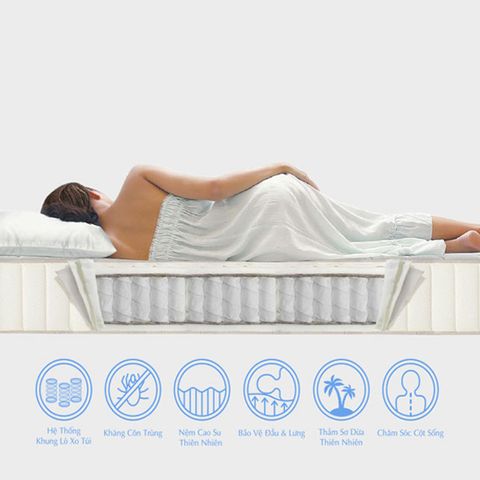  Nệm Lò Xo Túi 2 Viền 3M 