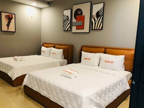  Giường Bọc Si Cao Cấp DS 