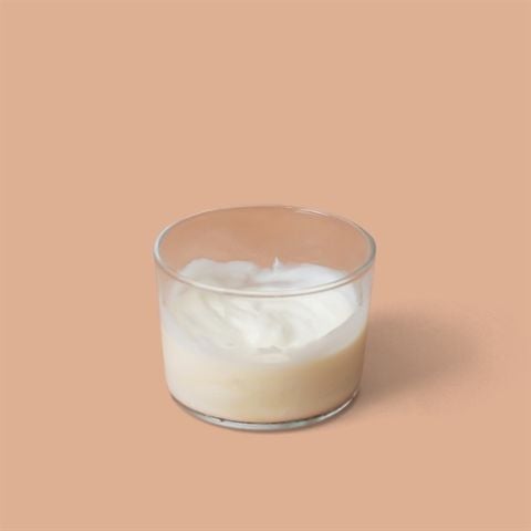  Handmade Greek Yogurt 
