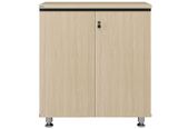 Tủ Tài Liệu LE880D