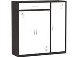 Tủ để giày dép Hòa Phát TG04