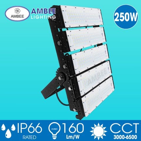 Đèn Led Pha TD05 250W