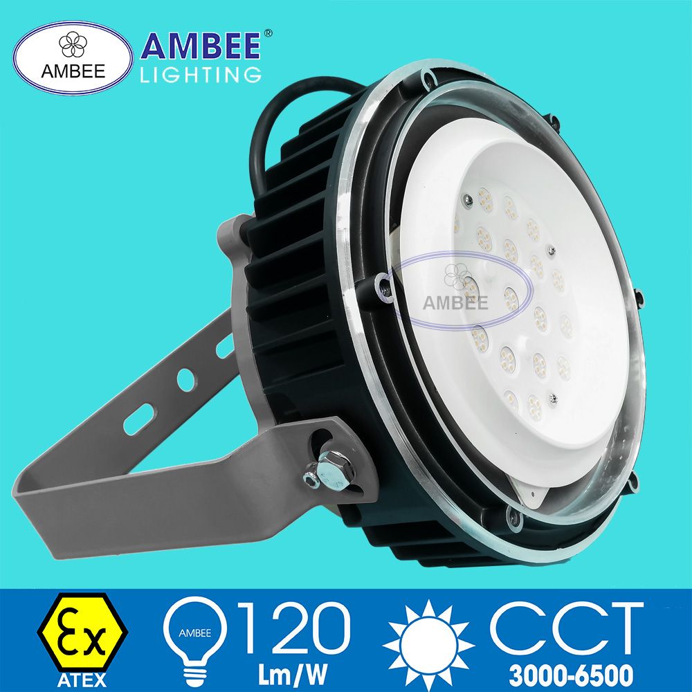 Đèn Led Chống Cháy Nổ F8238 80W