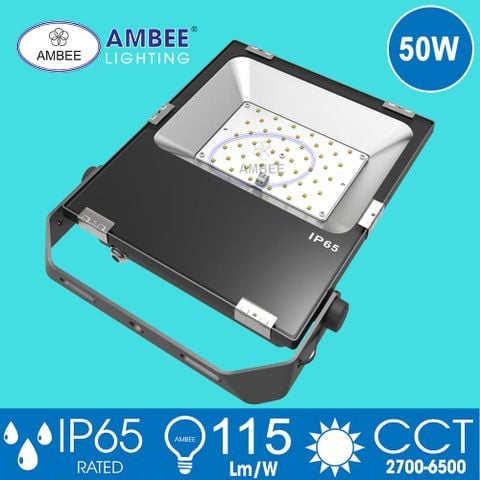 Đèn Led Pha TD01 50W