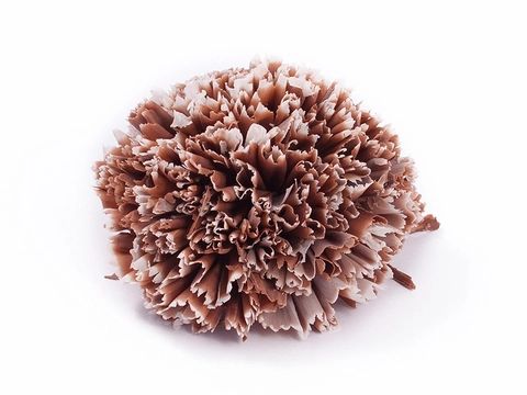 Sô-cô-la Chocolante Thẻ Đen 65% GPD-038 1kg 4116148