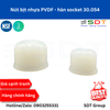 Nút bịt nhựa PVDF - hàn socket 30.054