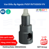 Van Điều Áp Ngược RVTX300V-PV - Plast-O-Matic