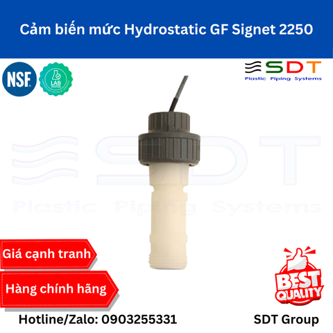 Cảm biến mức Hydrostatic GF Signet 2250
