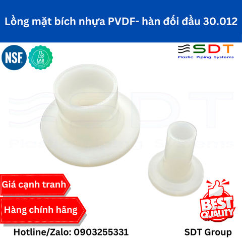 Lồng mặt bích nhựa PVDF- hàn đối đầu 30.012