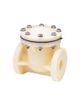 Van một chiều nhựa cánh lật (Swing check valve) ASAHI