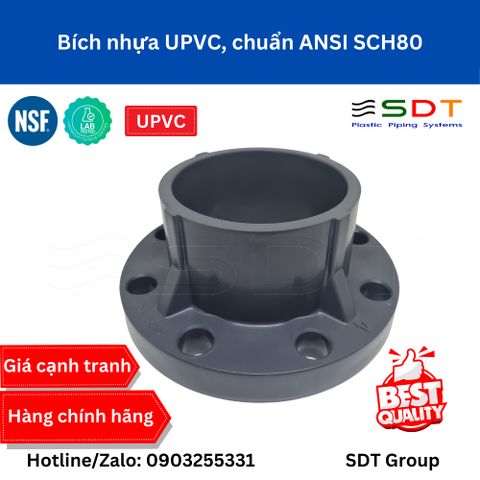 Bích nhựa UPVC chuyển đổi ANSI-JIS - SHIEYU (DFP)
