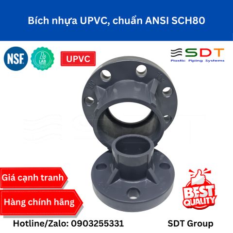 Bích liền nhựa UPVC ANSI JIS DIN - SHIEYU (DFP)