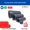 Tê thu nhựa UPVC SCH80 - SHIEYU (DFP)