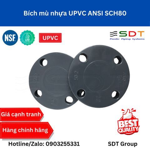 Bích mù nhựa CPVC ANSI - SANKING