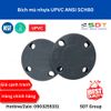 Bích mù nhựa UPVC ANSI - SANKING