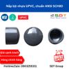 Đầu bịt nhựa UPVC SCH80 - SHIEYU (DFP)