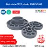 Bích rời nhựa CPVC SCH80 - Sanking