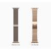 Apple Watch Series 10 Cellular 42mm Viền Titanium Dây Kim Loại