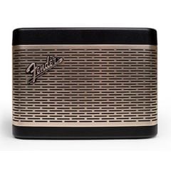 Loa di động Fender Newport 2