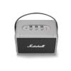 Loa Bluetooth Marshall Kilburn 2