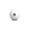 Loa Bluetooth Devialet Phantom Reactor 600 - Hàng Apple8