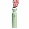 Bình giữ nhiệt Hydro Flask Standard Flex Cap 21OZ S21CSX (Season 2025)