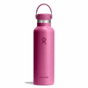Bình giữ nhiệt Hydro Flask Standard Flex Cap 21OZ S21CSX (Season 2025)