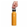 Bình nước giữ lạnh Hydro Flask Standard Flex Straw Cap 21 OZ (Season 2024) 621 ml S21CFS
