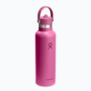 Bình giữ nhiệt Hydro Flask Standard Flex Straw Cap 21 OZ 621 ml S21CFS (Season 2025)