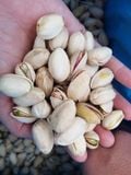  Hạt Dẻ Cười Mỹ Size 21 25 Rang Muối Sỉ Giá 1kg (Thùng 11.34kg) 