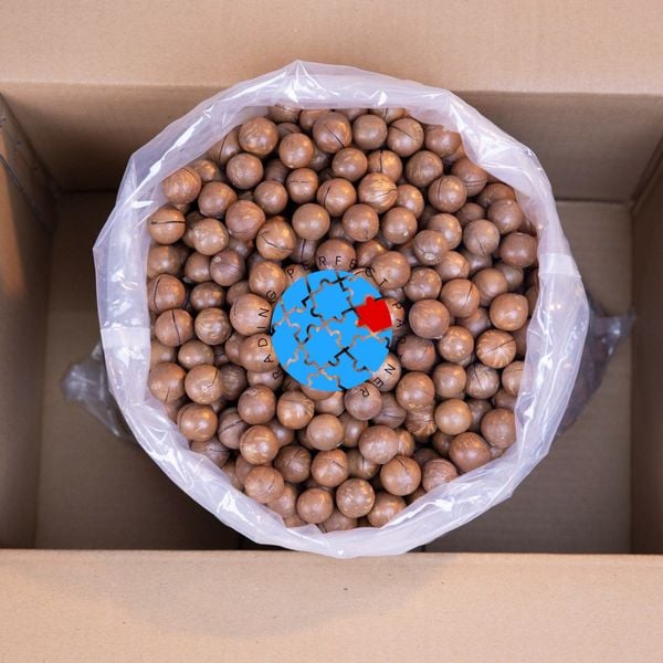  Macca (đã nướng và nức vỏ) Sỉ Giá 1kg (Thùng 10kg) 