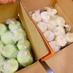 Bánh bao sữa lớn trà xanh