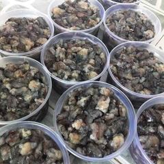 Thịt đầu tôm sú