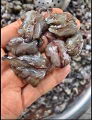 Thịt đầu tôm sú