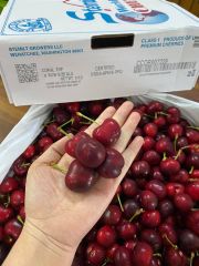 Cherry Mỹ