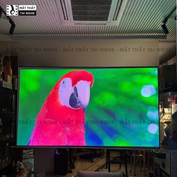 Màn chiếu treo Photon - Màn chiếu bay trong suốt từ vật liệu PET cao cấp, cho hình ảnh sắc nét, chuyên dụng cho máy chiếu Laser 3 màu, hỗ trợ 2 kích thước