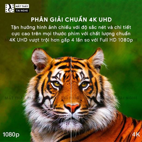 Epson EH-LS800 - Máy chiếu siêu gần 4K thông minh tích hợp Android TV, độ phân giải chuẩn 4K UHD 3840x2160p, độ sáng 4.000 ansi, tương phản siêu cao 2.500.000:1