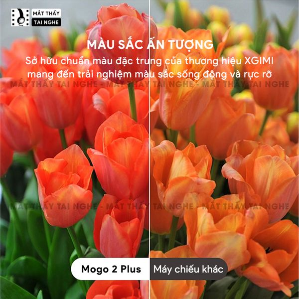 Xgimi Mogo 2 Plus - Máy chiếu thông minh tích hợp Google TV quốc tế, sử dụng công nghệ DLP, độ sáng 400 ISO lumens, độ phân giải chuẩn Full HD cho hình ảnh và màu sắc cực đẹp
